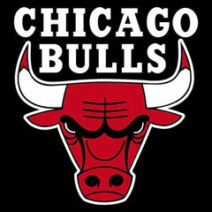 Collection image for: Chicago Bulls