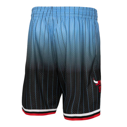 Chicago Bulls Light Blue 95/96 Classic Shorts