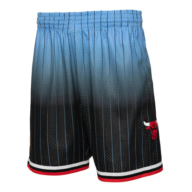 Chicago Bulls Light Blue 95/96 Classic Shorts